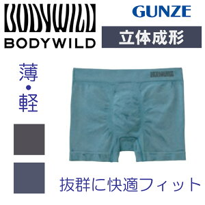 O[ {fBCh {NT[pc Y O ̐` {NT[ pc OƂ GUNZE BODYWILD {fB[Ch N ʔN I[V[Y M L LL BWS853