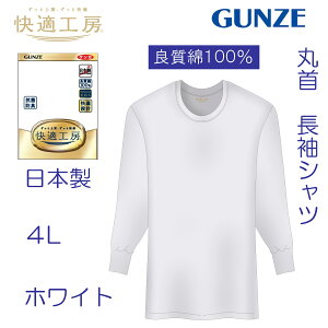 O[  K H[  100 GUNZE KH[  ێ  KQ3008 100% OZ[ Vc 4L