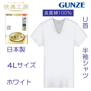 O[  K H[  100 GUNZE KH[  U KQ5016 100% OZ[ Vc 4L 4LTCY