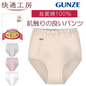 �O���[ ���� ���K�H�[ �� 100 GUNZE KQ3070 ��100% ���f�B�[�X �w�l �V���[�c �p���c �R�ۖh�L