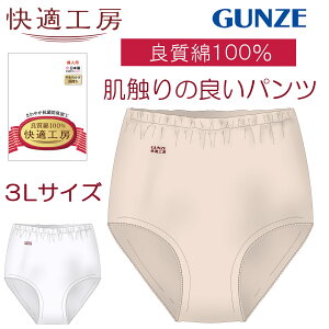 �O���[ ���� ���K�H�[ �� 100 GUNZE KQ3070 ��100% ���f�B�[�X �w�l �V���[�c �p���c �R�ۖh�L 3L 3L�T�C�Y