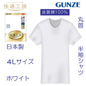 O[  K H[  100 GUNZE KH[  ێ KQ5014 100% OZ[ Vc 4L4LTCY