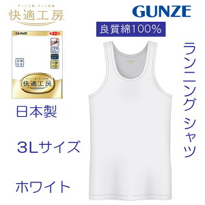 O[  K H[  100 GUNZE KH[ KQ5020 100% OZ[ Vc 3L 3LTCY jO ^Ngbv m[X[u Vc