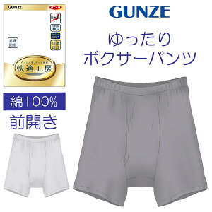 �O���[ ���K �H�[ ��100�� GUNZE ���K�H�[ �p���c �O�J�� �a�m KQ5093 GUNZE �O���� �{�N�T�[�p���c �y �����Y �{�N�T�[