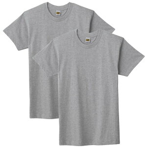 GUNZE(�O���[) G.T.HAWKINS �N���[�l�b�NT�V���c �z�[�L���X 2���Z�b�g �ێ� GUNZE �O���[ 2���g 2P �a�m ��100�� HK10132 �N�� 2�� T�V���c �O���[ �ێ� ���� �����Y �j�� �V���c