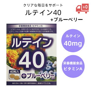 y󂠂zy1000~|bLzyzeC40+u[x[i40jbER NN~ AX^LT` r^~A Tvg h{@\Hi {P~Xg