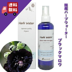 【ブラックマロウウォーター 200ml】→フローラルな優しい香りの中にも清涼感♪（乾燥肌・敏感肌に）完全国産の本物のハーブウォーター【KENSO/ケンソー/健草医学舎】（ハーブウォーター/フローラルウォーター/化粧水）