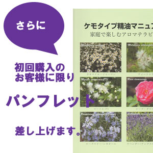 楽天市場 カレンデュラ油 カレンデュラオイル 50ml 赤ちゃん肌 デリケート肌におススメ Pranarom プラナロム キャリアオイル 植物油 ベースオイル マッサージオイル トリートメントオイル アロマオイル 自然のくらし