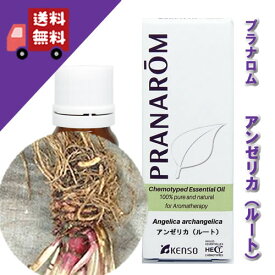 【期間限定】【アンゼリカ・ルート 10ml】→苦みを感じるスパイシーな香り♪（リラックスハーブ系）100%ピュアの天然無農薬有機栽培オイル【PRANAROM（プラナロム）】（精油/アロマオイル/エッセンシャルオイル）