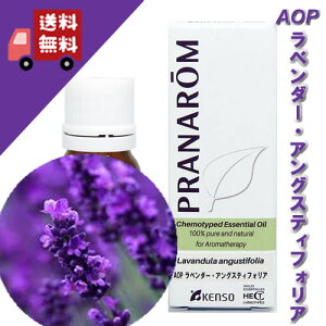 yAOP x_[EAOXeBtHA 10mlzx_[̑\iAOPF؂̓ʂȃx_[ibNXn[unjVR_L@͔|IC I[KjbNyPRANAROMivij