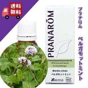 y̔zyxKbg~g 10mlzÂt[eBȃxKbĝ悤ȍibNXn[unjVR_L@͔|ICyPRANAROMivij/NARDii[hWpj