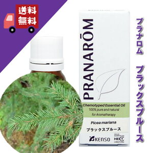 yubNXv[X 10mlzƋ݂̂EbfBȍiXїnj100%sA̓VR_L@͔|IC I[KjbNyPRANAROMivijzi / A}IC / Gb