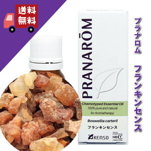 アロマ 樹脂系 オイル アロマオイルの人気商品 通販 価格比較 価格 Com