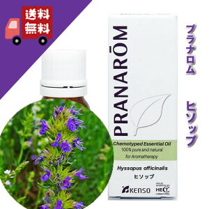 y̔zyq\bv 10mlzu₩ȊÂ݂̂鍁itbVn[unj100%sA̓VR_L@͔|ICyPRANAROMivij/NARDii[hWpjzi/A}