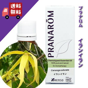 yCC 10mlzl𓩐Ôȍit[nj100%sA̓VR_L@͔|ICyPRANAROMivijzi/A}IC/GbZVICj