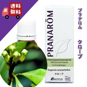 yN[u 10mlzIG^ŃGL]`bNȍitbVn[unj100%sA̓VR_L@͔|ICyPRANAROMivijzi/A}IC/GbZVIC