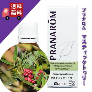 y}XeBbNc[ 5mlzhL̂O[̍itbVn[unj100%sA̓VR_L@͔|ICyPRANAROMivij/NARDii[hWpjzi/A}