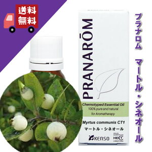 y}[gEVlI[ 10mlz[JɎÂÂibNXn[unj100%sA̓VR_L@͔|ICyPRANAROMivijzi/A}IC/Gb