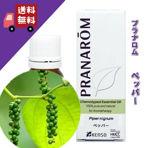 yybp[iubNybp[j 10mlzhIŃXpCV[ȍitbVn[unj100%sA̓VR_L@͔|ICyPRANAROMivij/NARDii[hWpjzi