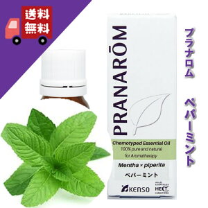 yyp[~g 10mlzƊÂ𕹂Auł͑\IȍitbVn[unjVR_L@͔|IC I[KjbNyPRANAROMivijzi / A}I