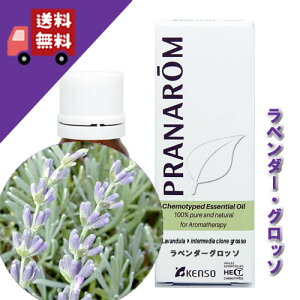 yx_[EOb\ 10mlzÂ̒ɐibNXn[unj100%sA̓VR_L@͔|ICyPRANAROMivij/NARDii[hWpjzi/A}IC/G