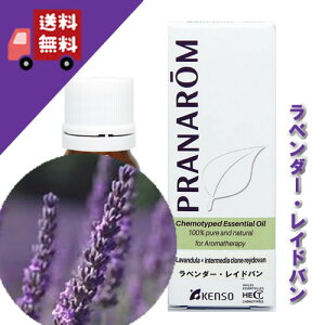 y̔zyx_[Cho 10mlz݂ƌ݂̃x_[ibNXn[unjVR_L@͔|ICyPRANAROMivi/NARDii[hWpj