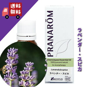 yx_[XsJ 10mlzAXbLƂ̃x_[itbVn[unjVR_L@͔|ICyPRANAROMivij/i[hWpzi/A}