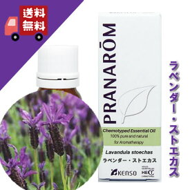 【限定販売】【ラベンダー・ストエカス 10ml】→ラベンダー特有の香りとは異なる、グリーンな印象の強い精油♪（リフレッシュハーブ系）天然無農薬有機栽培オイル【PRANAROM（プラナロム）】（精油/アロマオイル/エッセンシャルオイル）P-102