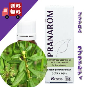 yuheB 5mlzقꂭc[ƂibNXn[unj100%sA̓VR_L@͔|ICyPRANAROMivij/NARDii[hWpjzi/A}IC/