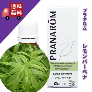 y̔zyo[xi@5mlzɎÂi̍̃n[unj100%sA̓VR_L@͔|ICyPRANAROMivij/NARDii[hWpjzi/