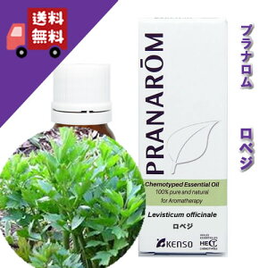 y̔zyxW 5mlz͋AXpCV[ŃtbVȍitbVn[unjVR_L@͔|ICyPRANAROMivij/NARDii[hWpjzi/A}