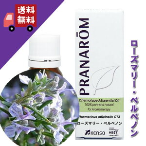 y[Y}[Exxm 10mlz[Y}[̒łiƑu₩ŃtbVȍitbVn[unj100%sA̓VR_L@͔|IC I[KjbNyPRANAROMiv