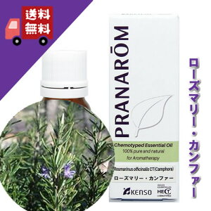 y[Y}[EJt@[ 10mlzNbLƂ]̍itbVn[unj100%sA̓VR_L@͔|ICyPRANAROMivij/NARDii[hWpjzi/