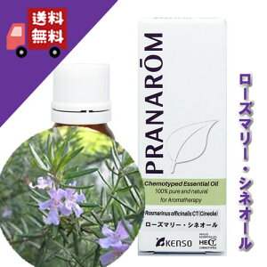 y[Y}[VlI[ 10mlzVlI[̃tbVȍitbVn[unjVR_L@͔|ICyPRANAROMivij/NARDii[hWpjzi/A}IC