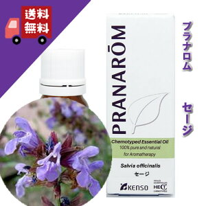 y̔zyZ[W / RZ[W 10mlz]̂悤ȃnbLƂitbVn[unj100%sA̓VR_L@͔|ICyPRANAROMivij/NARDii[hWp