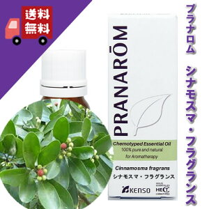 yViX}EtOX / ViX}tOX 10mlzDVlI[̑u₩ȍitbVn[unj_L@͔|ICyPRANAROMivij/NARDii[hW