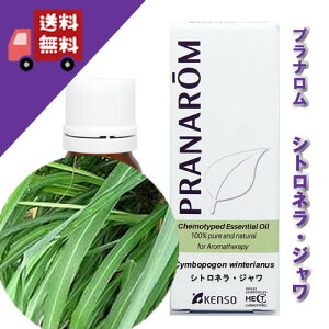 yVgliWE^Cvj 10mlzVglɃt[őu₩ɂi̍n[unj100%sA̓VR_L@͔|ICyPRANAROMivijz