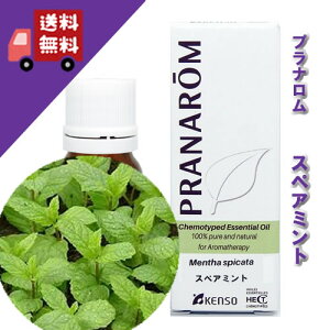 yXyA~g 10mlzyp[~g}ChŏÂ݂̂鐴̍100%sA̓VR_L@͔|ICyPRANAROMivij/NARDii[hWpjzi/A