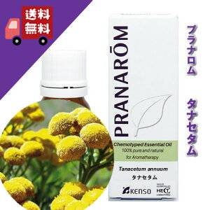 y^iZ^ 5mlzÂ݂̂AZŃt[eBȍibNXn[unj100%sA̓VR_L@͔|IC I[KjbNyPRANAROMivij/NARDii[hWpjzi