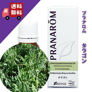 y̔zy^S 10mlzÂƐAAjXɎitbVn[unjVR_L@͔|̃I[KjbNICyPRANAROMivij/wɁiP\