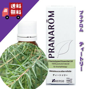 yeB[g[/eB[gD[ 10mlztbVŃXpCV[ȍiXїnj100%sA̓VR_L@͔|IC I[KjbNyPRANAROMivij/NARDii[hWpjz