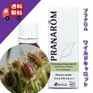 【限定販売】プラナロム ワイルドキャロット 10ml p-62 正規品セリ科 リフレッシュハーブ系 キャロット …