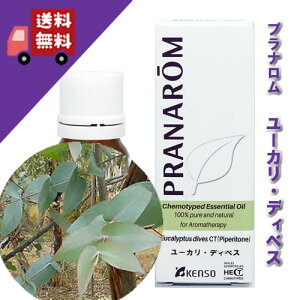 y[JEfBxX 10mlẑ鏭yp[~gɎ̃[JitbVn[unjVR_L@͔|ICyPRANAROMivij/i[hWpzi/