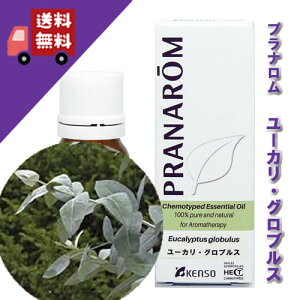 y[JEOuX 10mlzXbLAꐰƂXitbVn[unjVR_L@͔|ICyPRANAROMivij/i[hWpzi/