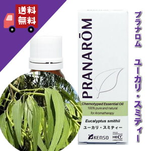 y[JEX~eB[ 10mlz[J̒ł́A_炩ŐXitbVn[unjVR_L@͔|ICyPRANAROMivij/NARDii[hWpjzi/A