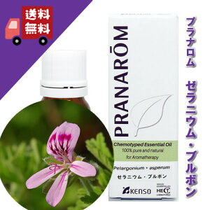 y[jE u{ 10mlz[jE̒ł́At[eBȃC[WA₳ibNXn[unjVR_L@͔|IC I[KjbNyPRANAROMivij