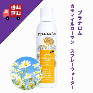 vi J}C[} Xv[EH[^[ 150ml 12731 kCgp n[uEH[^[ ϐ F GA][^Cv w KENSO P\[ PRANAROM vi _͔| 