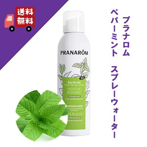 vi yp[~g Xv[EH[^[ 150ml 12734 kCgp n[uEH[^[ ϐ F GA][^Cv w KENSO P\[ PRANAROM vi _͔| XL