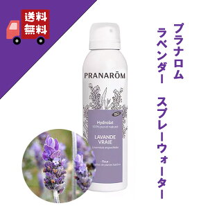 vi x_[ Xv[EH[^[ 150ml 12736 kCgp n[uEH[^[ ϐ F GA][^Cv w KENSO P\[ PRANAROM vi _͔| XLP