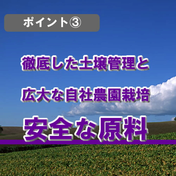 【アセロラ濃縮エキス 200ml】→天然ビタミンCの補給に。健康と美容の維持に。♪【ドイツ/シェーネンベルガー/レホルム】(ハーブ濃縮エキス /植物エキス/圧搾法/100%天然/100%無添加/自然農法/植物本来/有効成分) 自然のくらし ドイツシェーネンベルガー社製アセロラ濃縮エキス200m 賞味期限2023年9月l300気圧の特殊圧搾方法で甘味料・添加物・保存料など一切含まない100%のアセロラエキス♪暑い季節の天然型ビタミンC・アントシアニン・ポリフェノール類・フラボノイド・ミネラル補給に♪